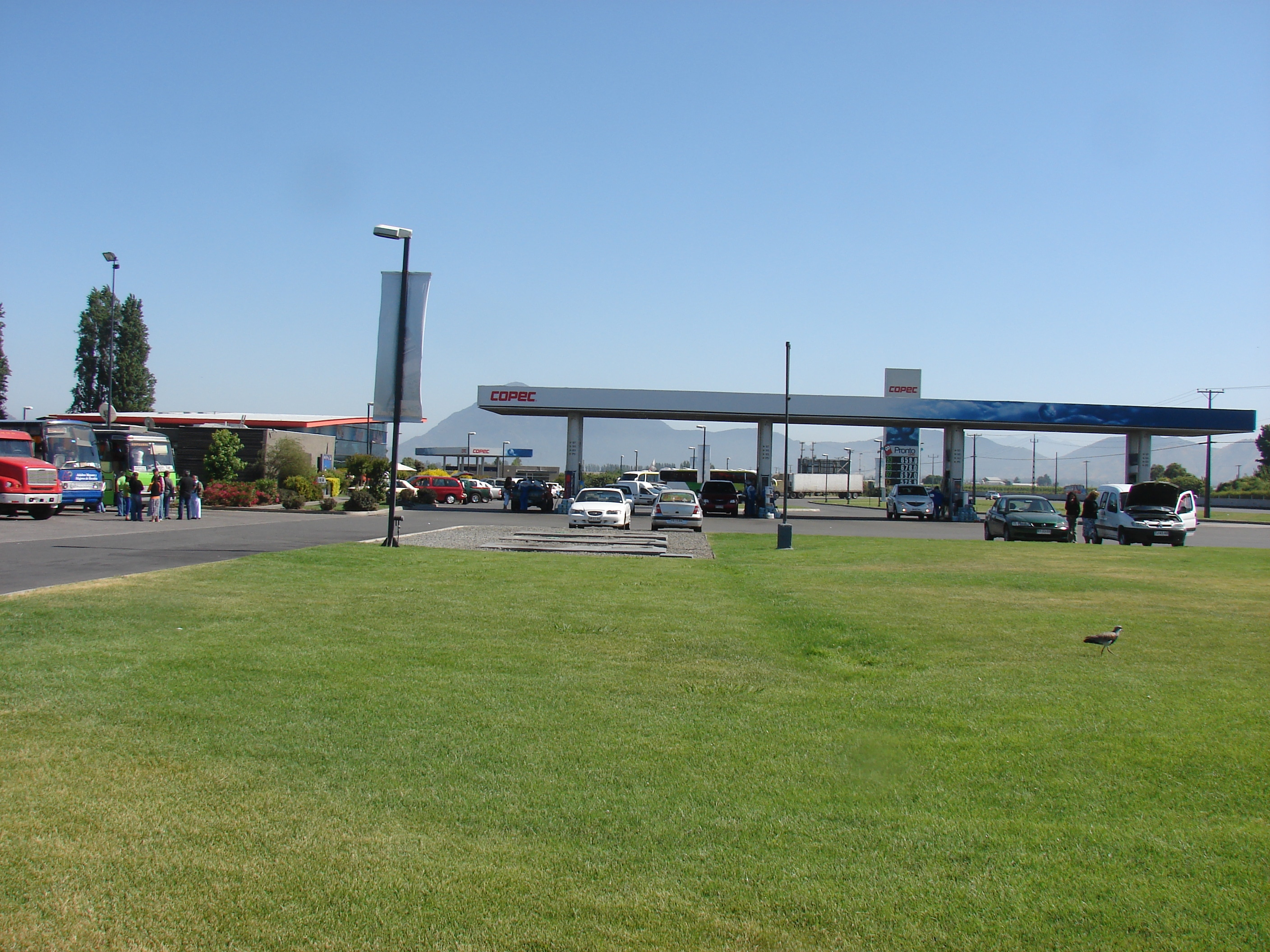 La Punta San Francisco de Mostazal todo lo que necesita saber.