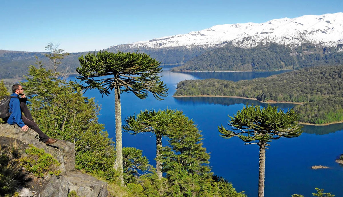 Región de La Araucanía: mapa, turismo, flora, fauna y más
