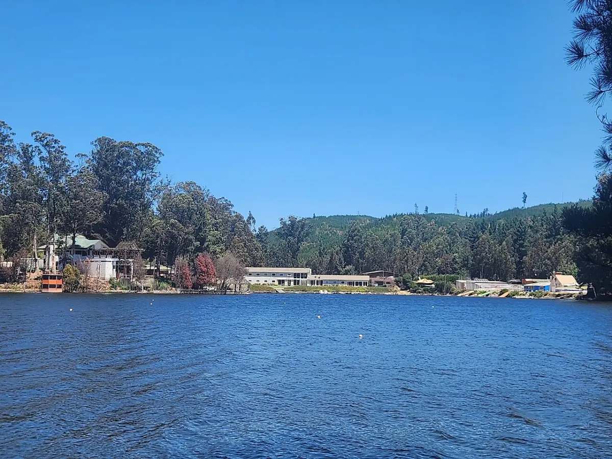 Casas y áreas verdes junto a la laguna de Curauma en un día despejado