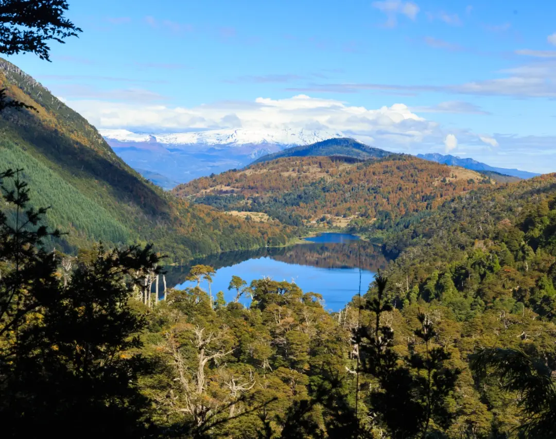 Vista desde las alturas del Parque Nacional Huerquehue, con una laguna rodeada de bosque y cordillera al fondo