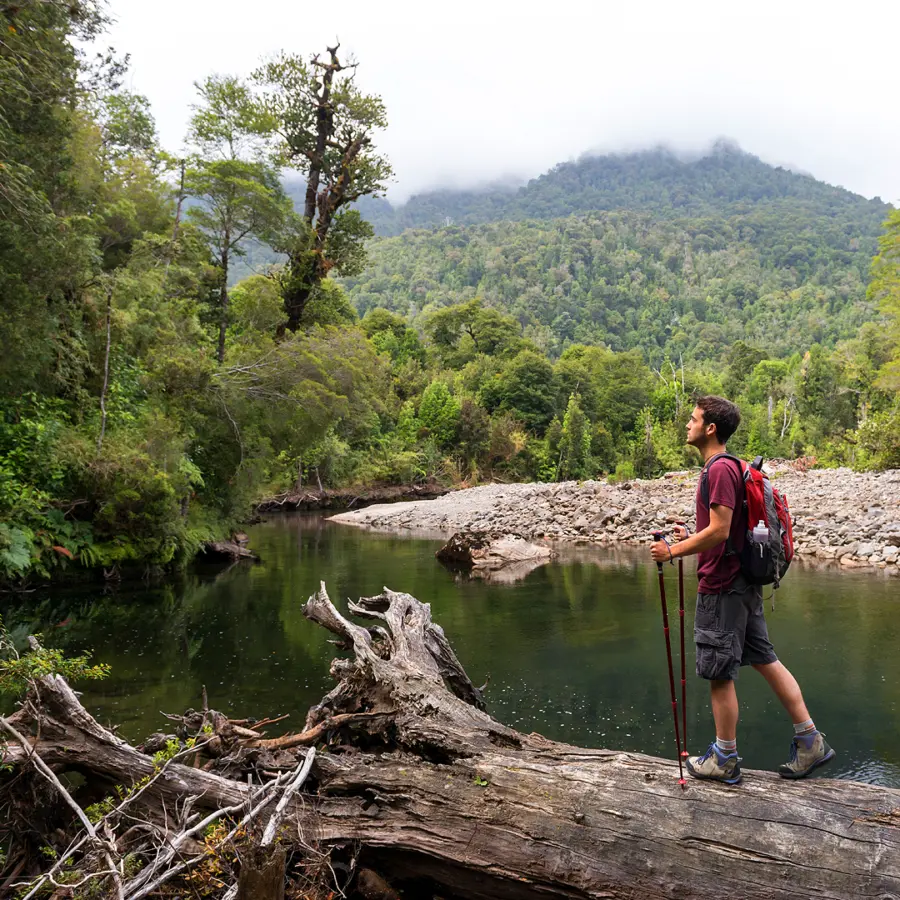 Excursionista junto a una laguna rodeada de bosque húmedo, típico del sur de Chile