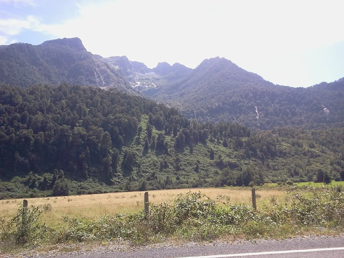 Costa de Futrono junto al Lago Ranco con vegetación y agua tranquila