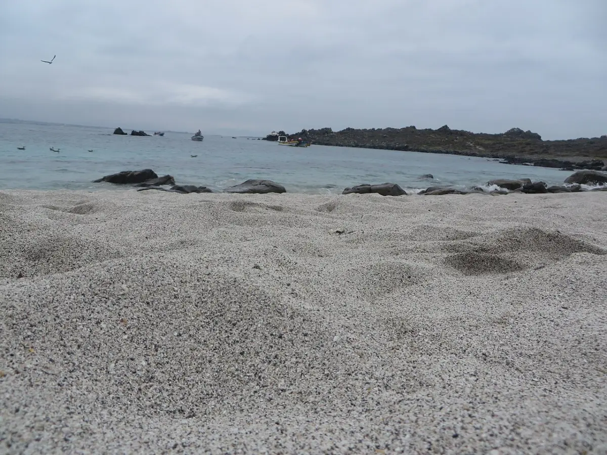 Costa de Isla Damas en la Reserva Nacional Pingüino de Humboldt