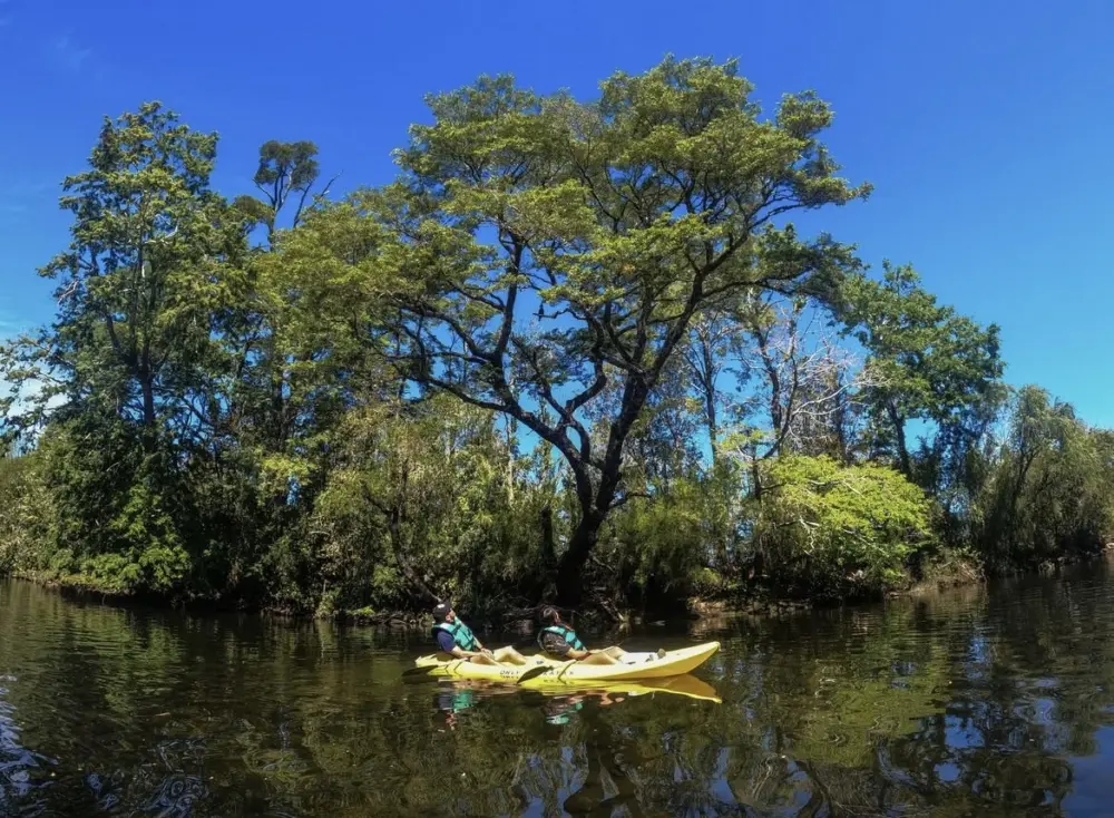 Dos personas en kayak junto a árboles frondosos en la orilla de un lago del sur de Chile