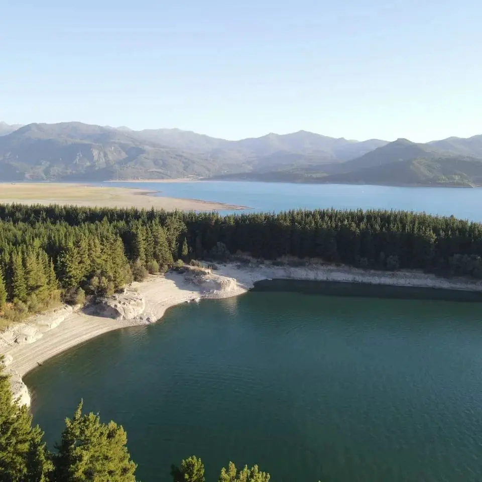 Orilla con bosque junto a las aguas calmas del lago Colbún, con cordillera al fondo