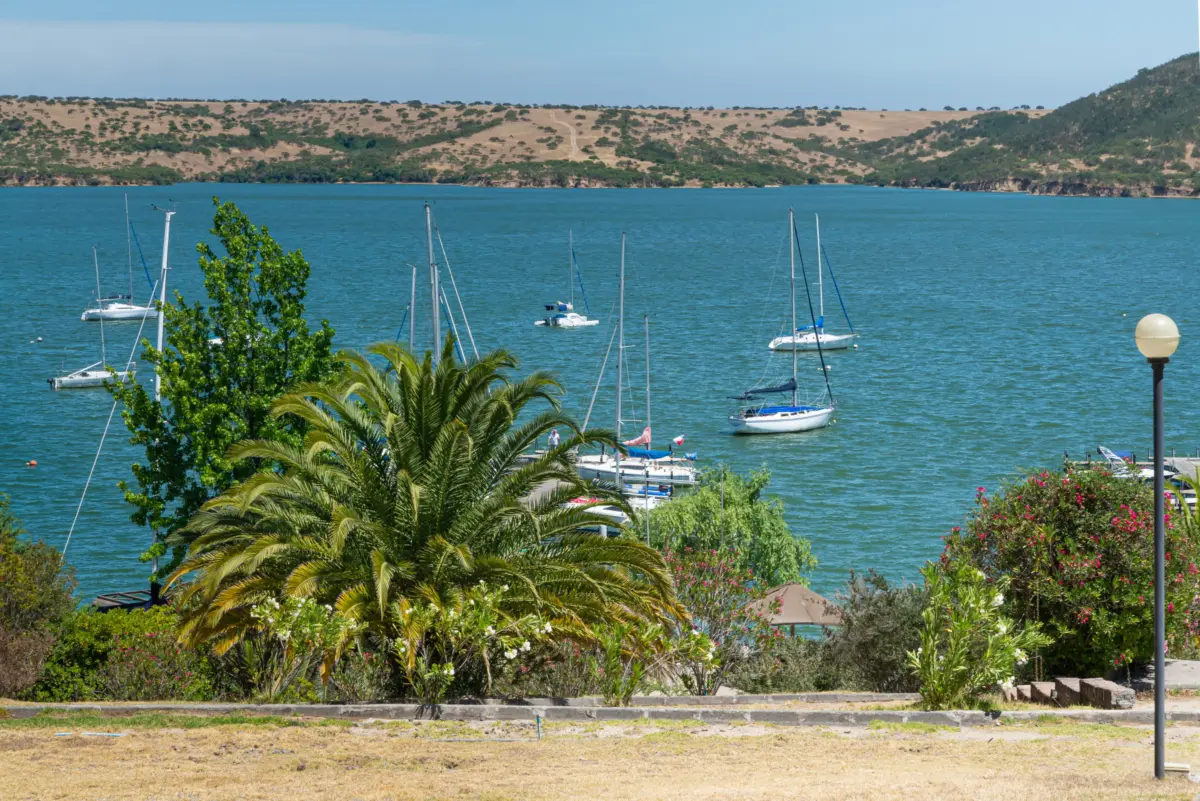 Veleros fondeados en las aguas turquesas del lago Rapel, con palmeras y costanera en primer plano