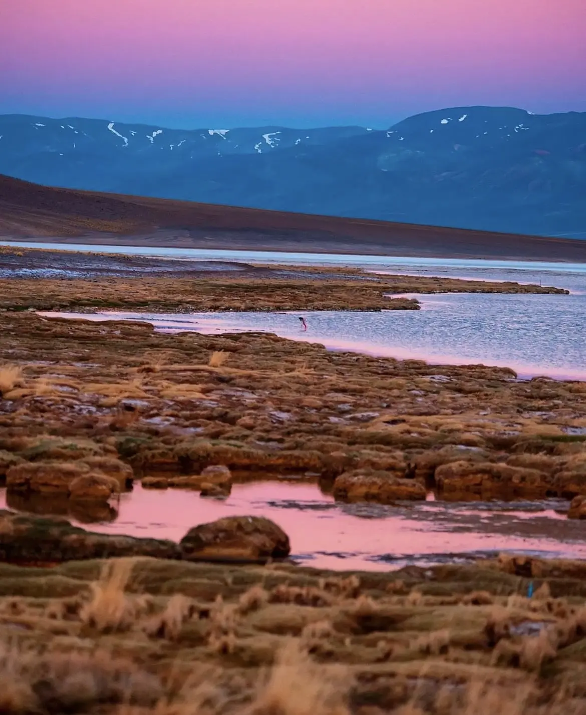 Laguna altiplánica con tonos rosados al atardecer en la Ruta de los Seismiles