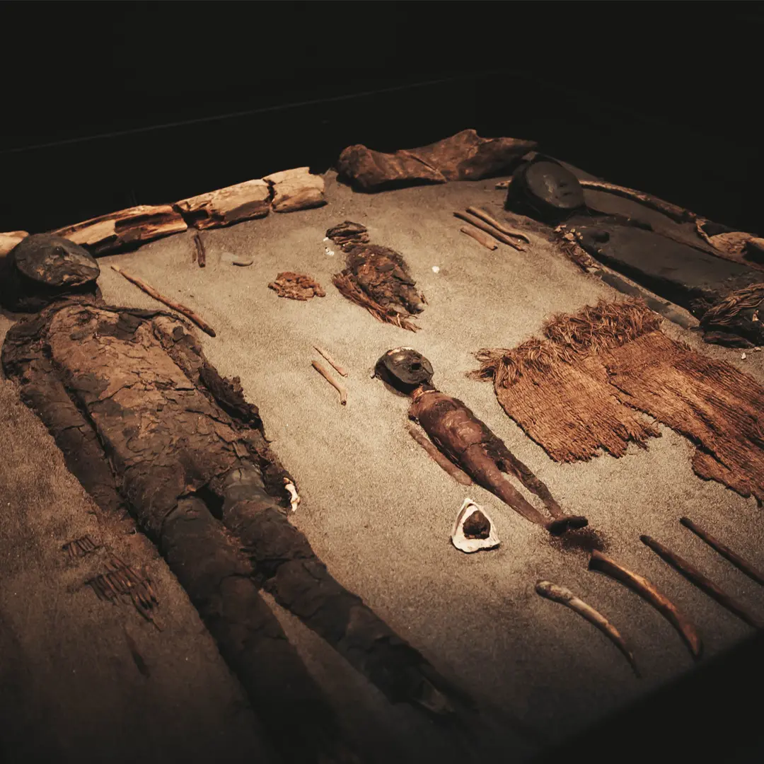 Momias de la cultura Chinchorro exhibidas en una vitrina del museo de San Miguel de Azapa