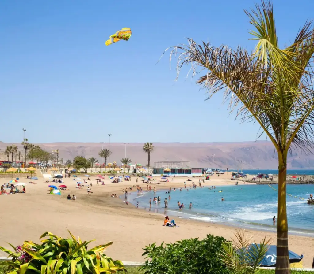 Playa La Lisera en Arica con arena clara y mar tranquilo bajo el sol