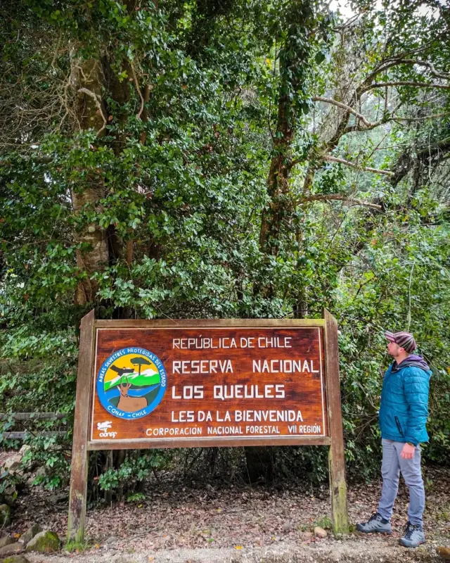 Letrero de la Reserva Nacional Los Queules junto a un bosque húmedo en la Región del Maule