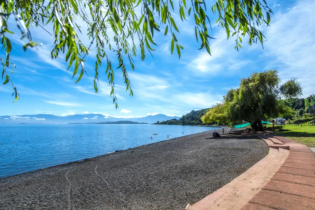 Ribera del Lago Ranco con árboles y una costanera de arena