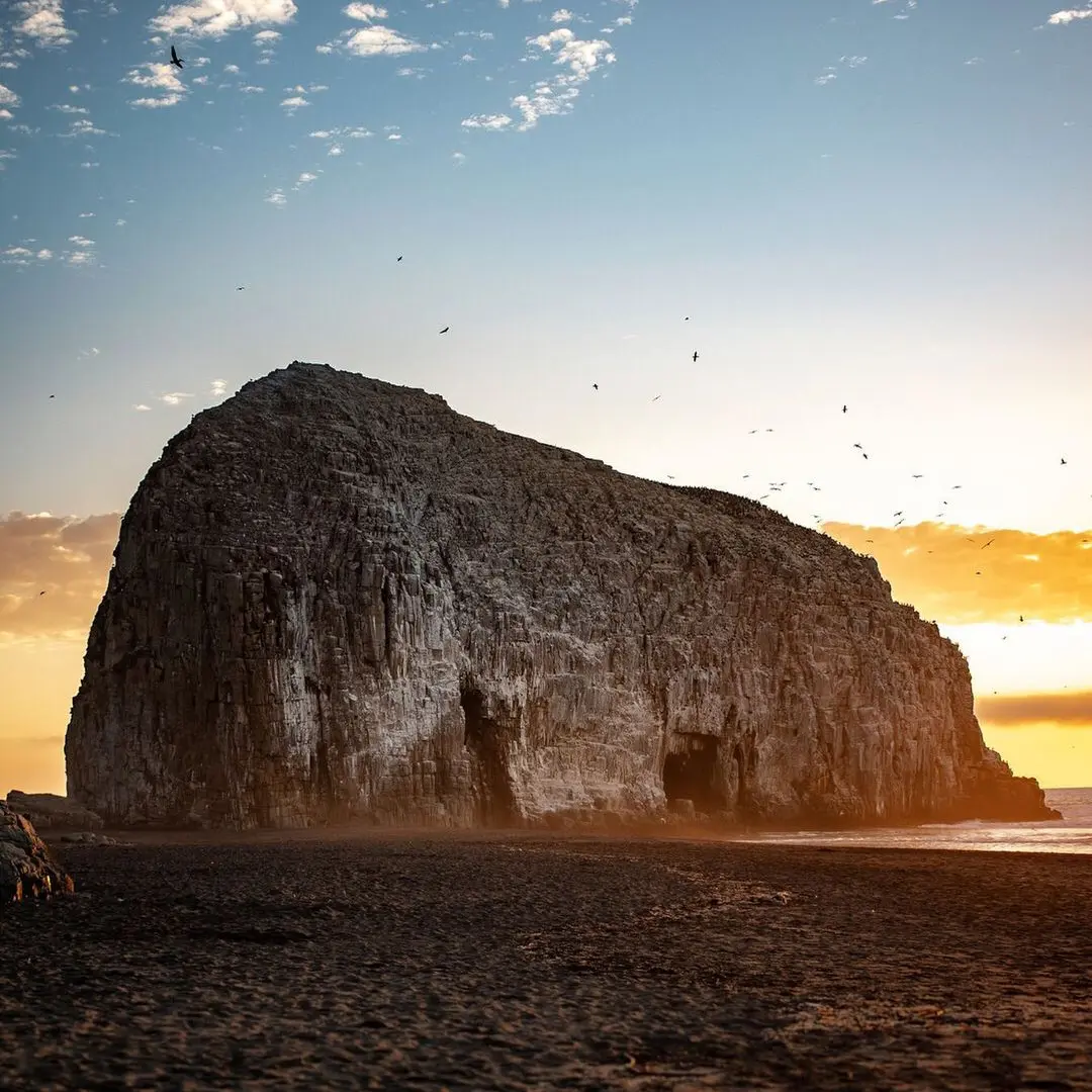 Gran roca de la costa de Constitución al atardecer con aves volando alrededor