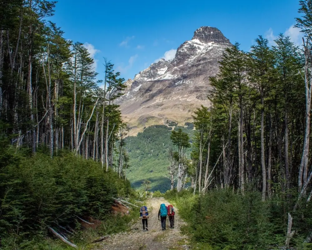 Excursionistas caminando por un bosque con la cumbre de las Torres del Avellano al fondo
