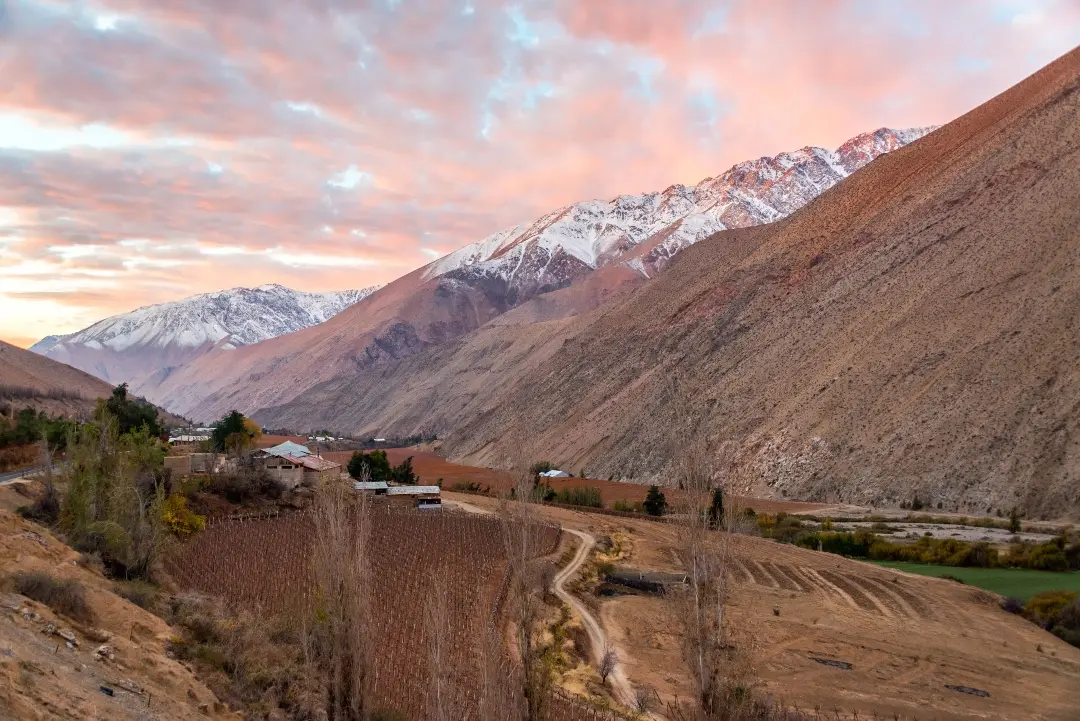 Valle del Elqui al atardecer con cerros nevados y un camino entre viñedos