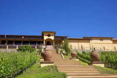 Viñas con enoturismo en Chile: valles y experiencias para visitar