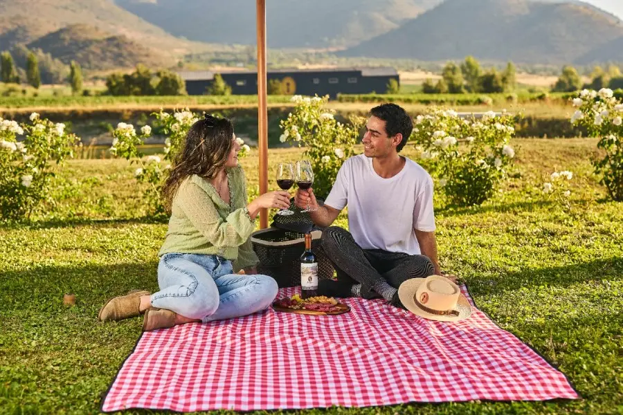Pareja brindando en un picnic entre viñedos del Valle del Cachapoal