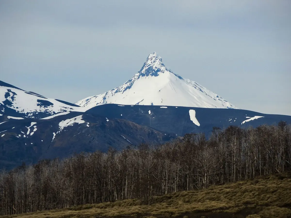 Cumbre nevada del volcán Puyehue sobre un bosque otoñal